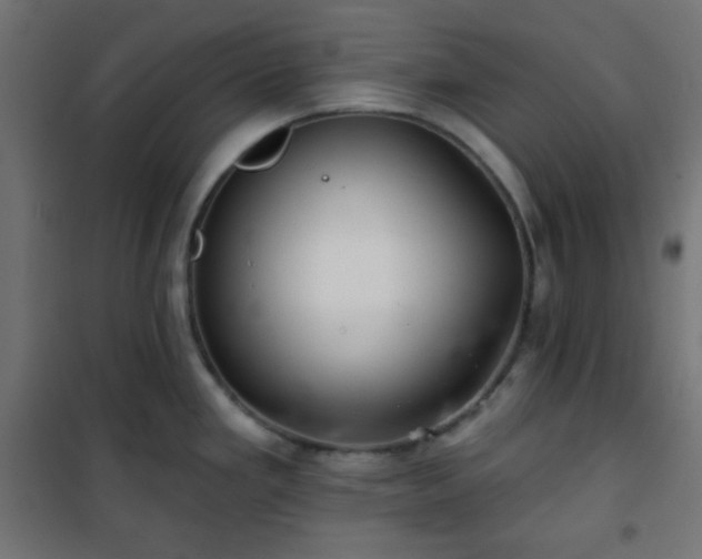 X0000101141293200807071117