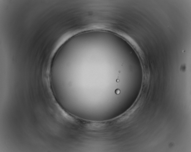 X0000101141294200807071117