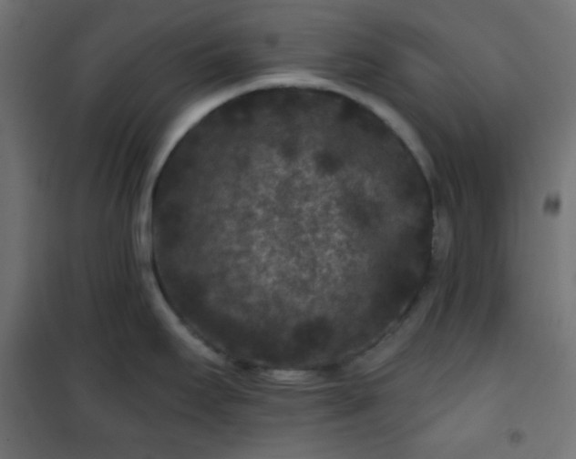 X0000101141295200807071117