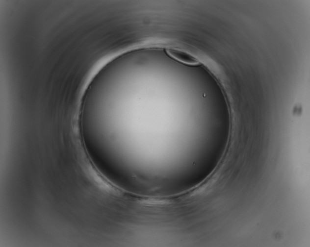 X0000101141296200807071117