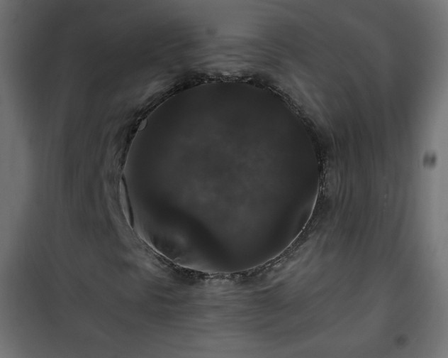 X0000101141297200807071116