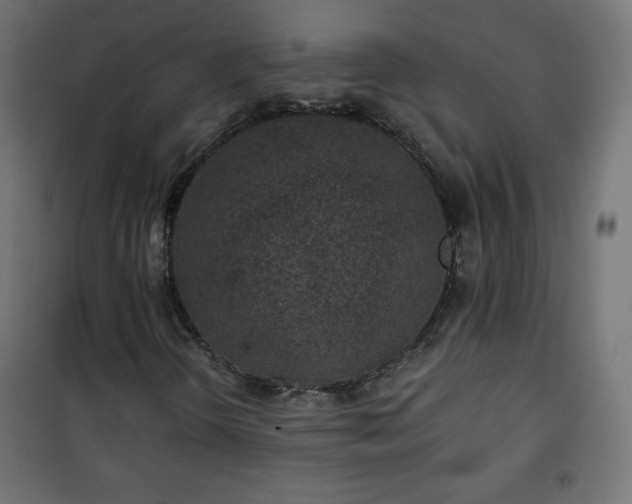 X0000101141298200807071116