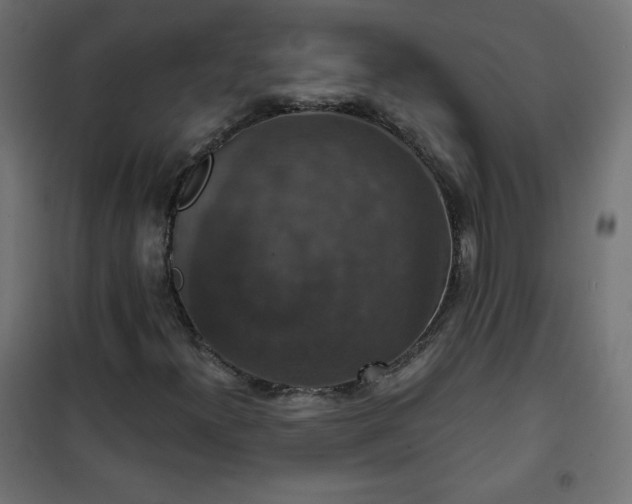 X0000101141300200807071116