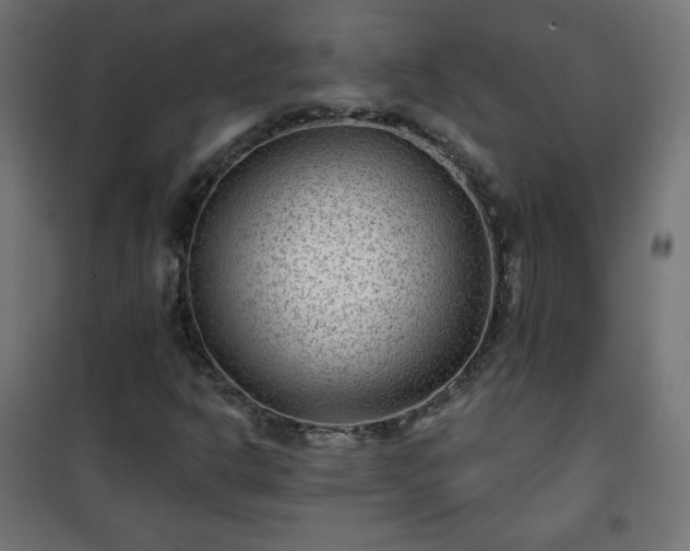 X0000101141302200807071116