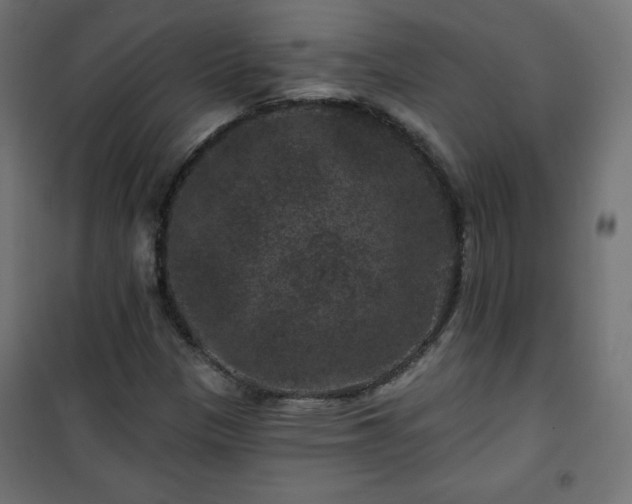 X0000101141305200807071116