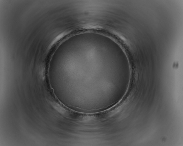 X0000101141306200807071116