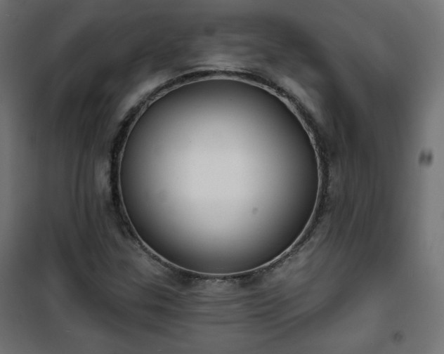 X0000101141307200807071116