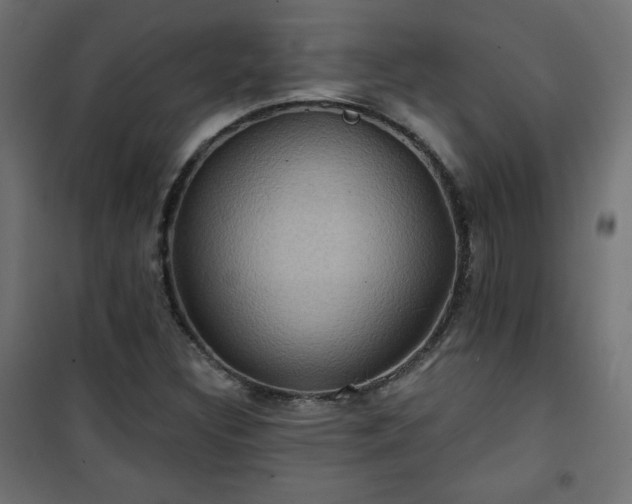 X0000101141308200807071116