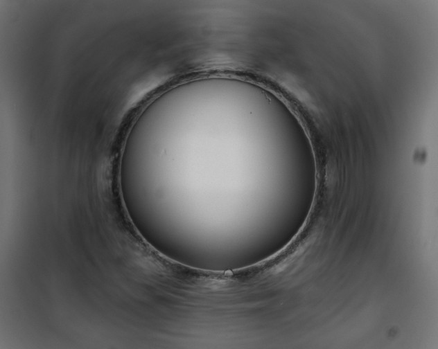 X0000101141309200807071117