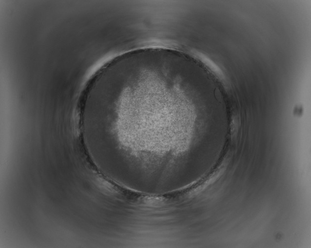 X0000101141310200807071117