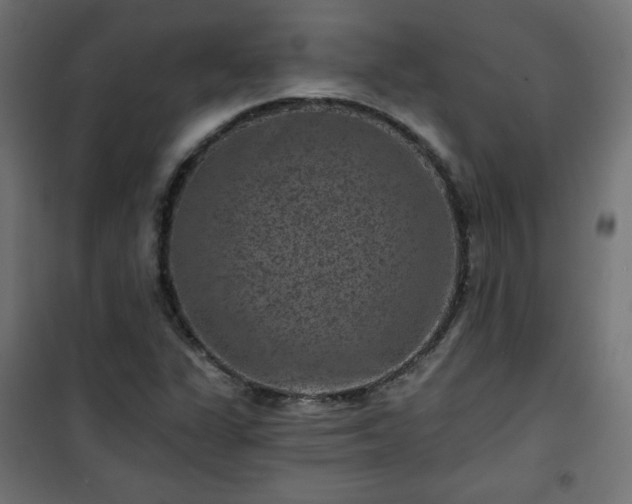 X0000101141311200807071117