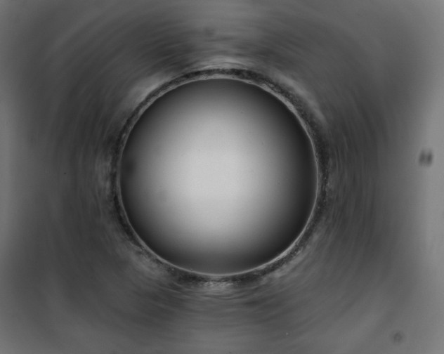 X0000101141313200807071117