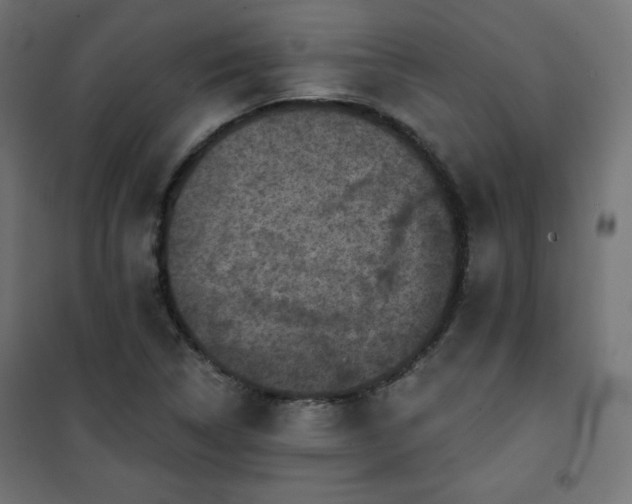 X0000101141314200807071117