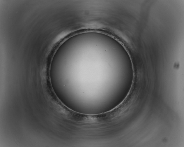 X0000101141315200807071117