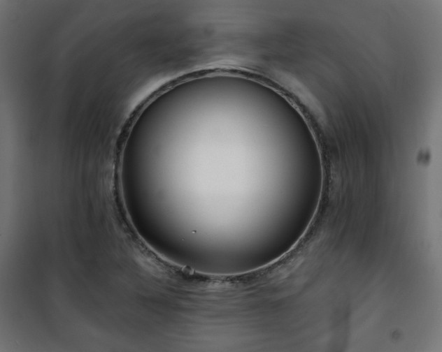 X0000101141316200807071117