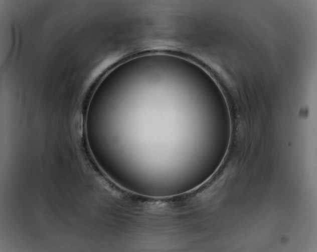 X0000101141317200807071117