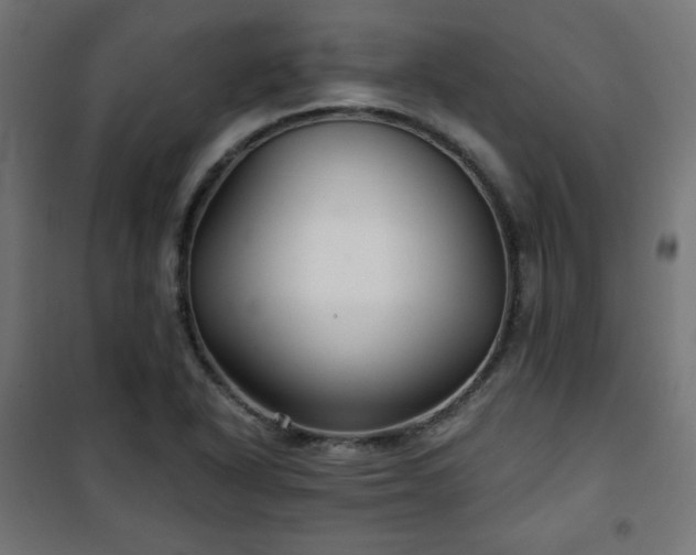 X0000101141318200807071117