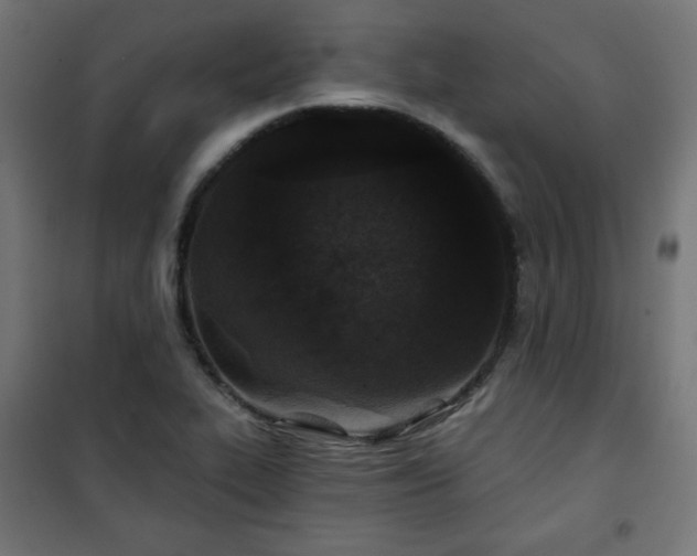 X0000101141319200807071117