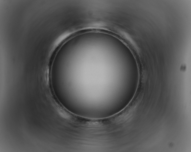 X0000101141320200807071117