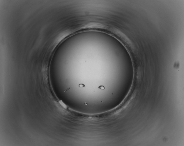 X0000101141321200807071117