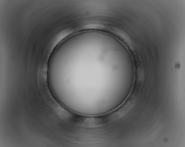 X0000101141322200807071117