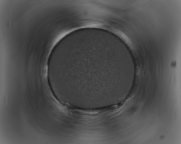 X0000101141324200807071117