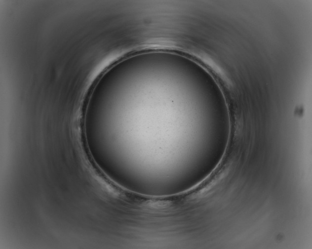 X0000101141325200807071117