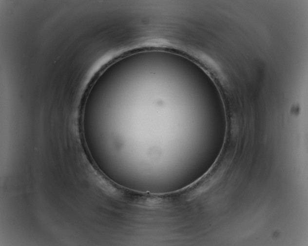 X0000101141326200807071117