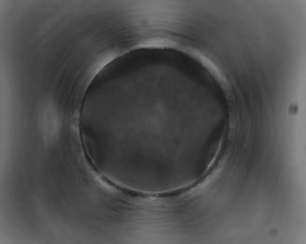 X0000101141329200807071117