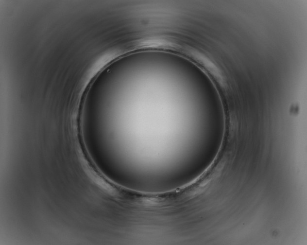 X0000101141330200807071117