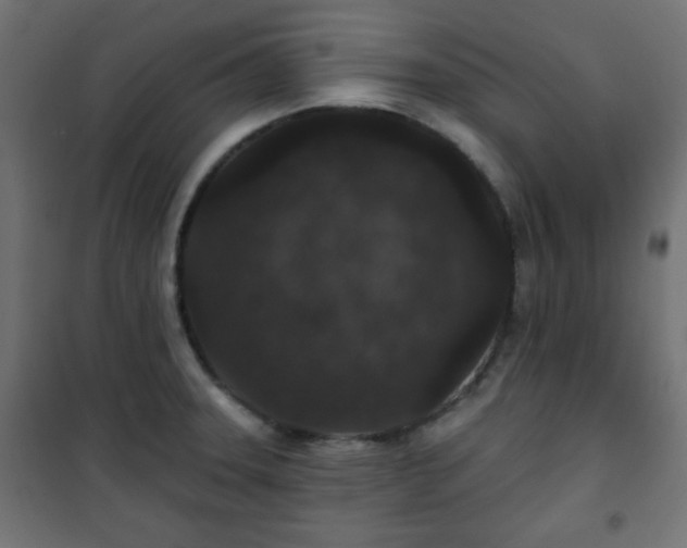 X0000101141331200807071117