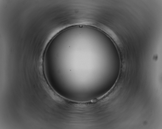 X0000101141332200807071117