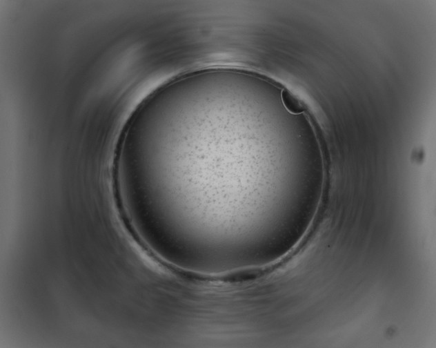 X0000101141333200807071117