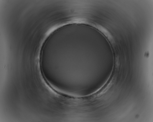 X0000101141334200807071117