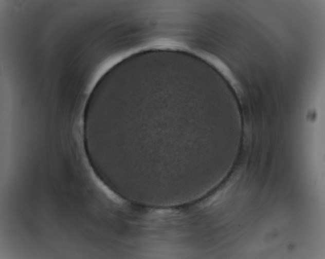 X0000101141335200807071117