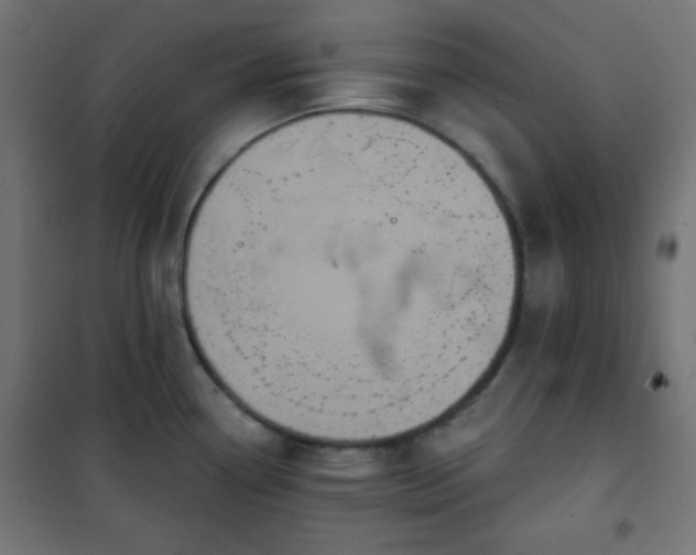 X0000101141338200807071117