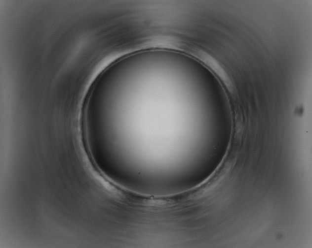 X0000101141339200807071117