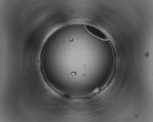 X0000101141341200807071117