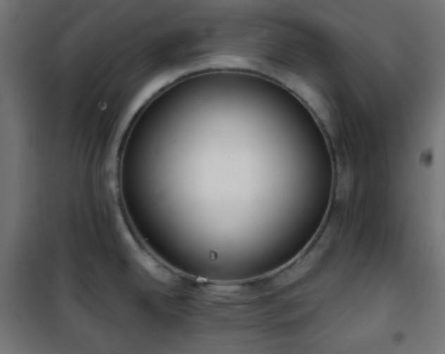 X0000101141342200807071117