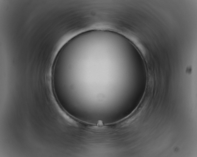 X0000101141343200807071117