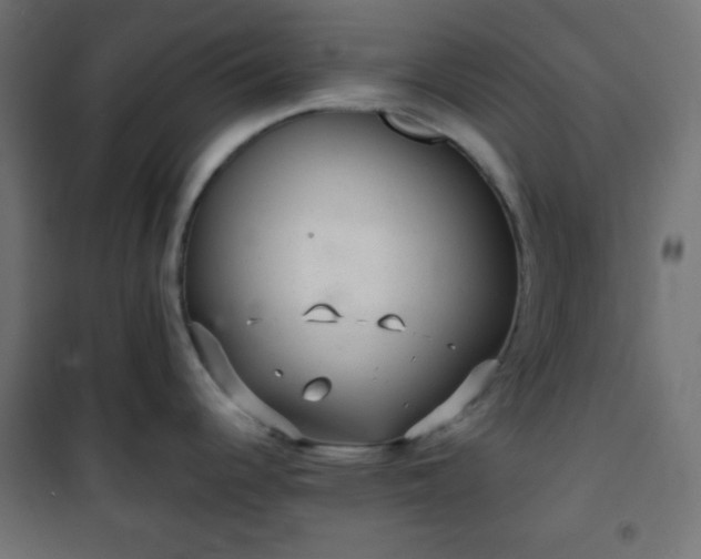 X0000101141344200807071117