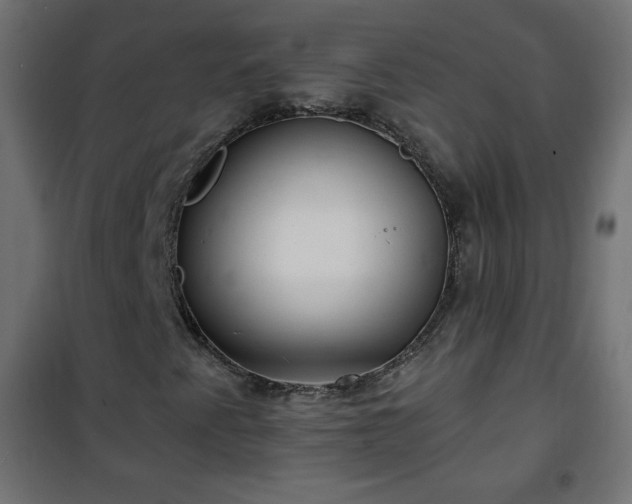 X0000101141345200807071116