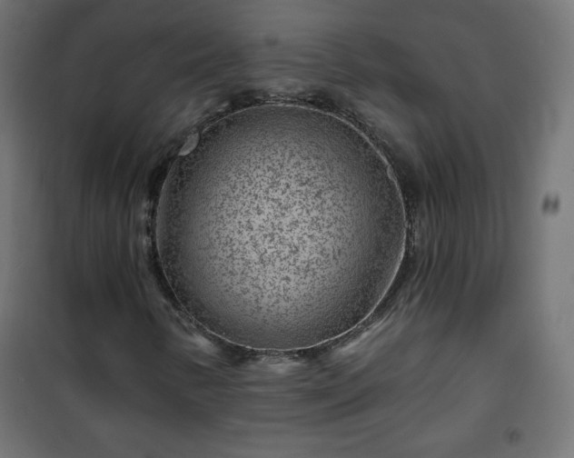 X0000101141346200807071116