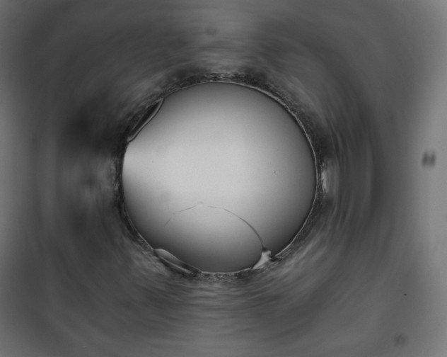 X0000101141347200807071116