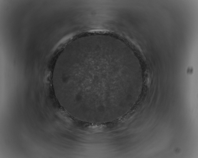 X0000101141351200807071116