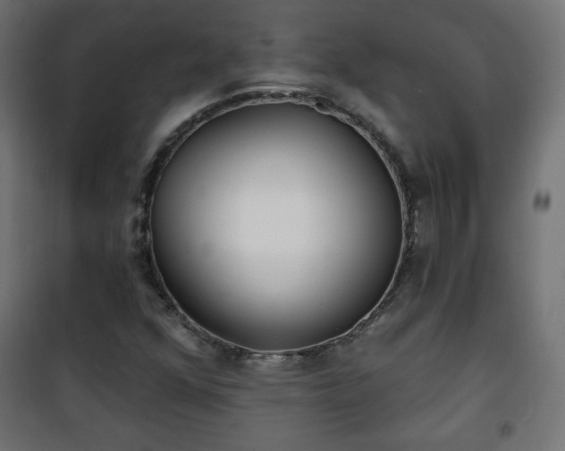 X0000101141352200807071116