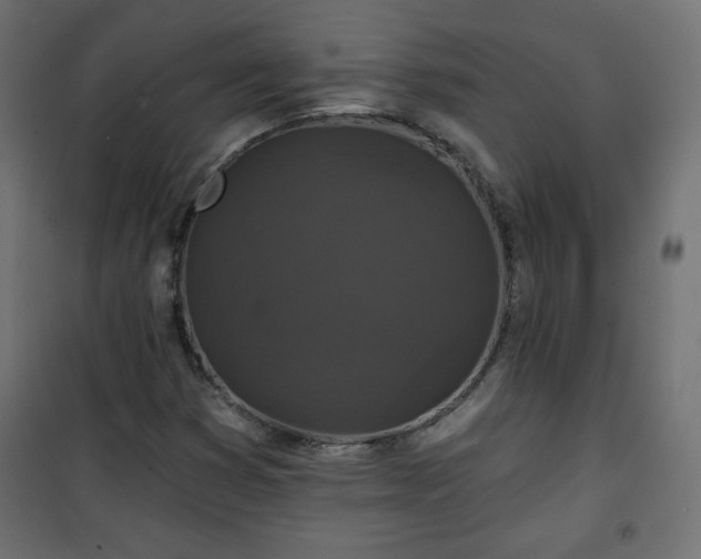 X0000101141353200807071116