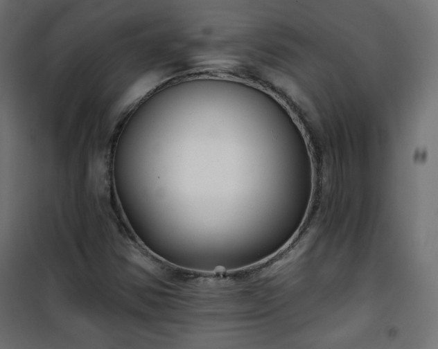 X0000101141354200807071116