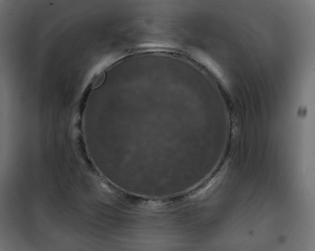 X0000101141357200807071116