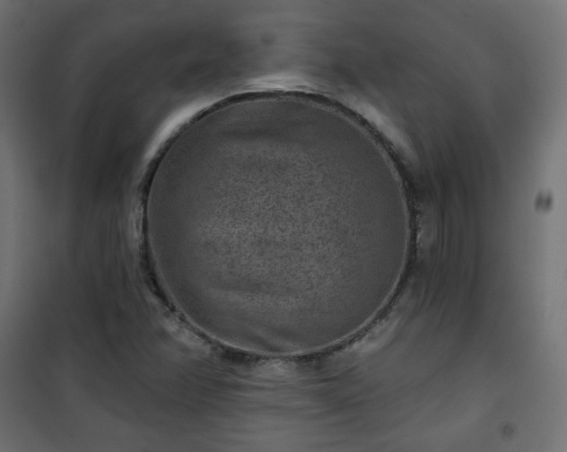 X0000101141358200807071116